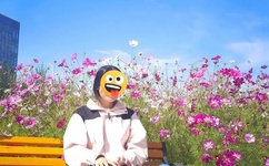 久久偷拍自偷拍